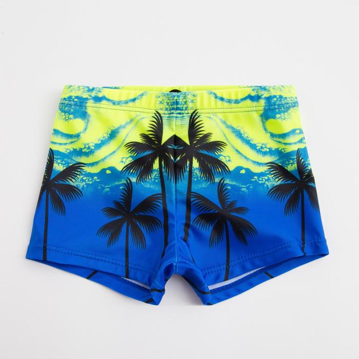 Плавки купальные для мальчика MINAKU Пляжные, рост 110-116 цена и фото