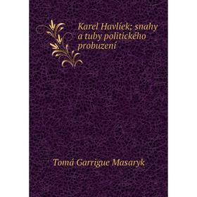 

Книга Karel Havlíek; snahy a tuby politického probuzení