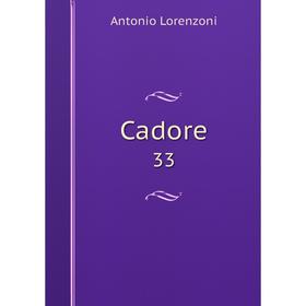 

Книга Cadore 33