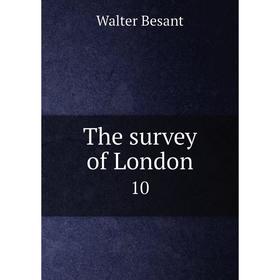 

Книга The survey of London 10