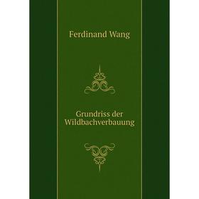 

Книга Grundriss der Wildbachverbauung