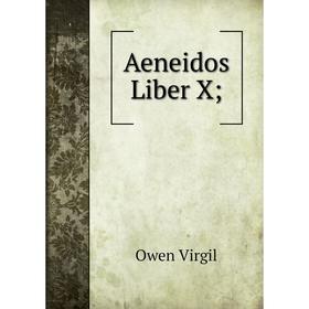 

Книга Aeneidos Liber X