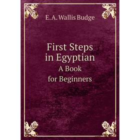 

Книга First Steps in Egyptian A Book for Beginners