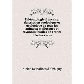 

Книга Paléontologie française; description zoologique et géologique de tous les animaux mollusques et rayonnés fossiles de France 1, Section A, Atlas