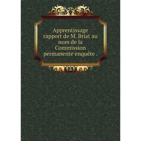 

Книга Apprentissage rapport de M. Briat au nom de la Commission permanente enquête.