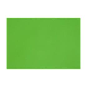 Картон цветной тонированный А3, 200 г/м2, зелёный