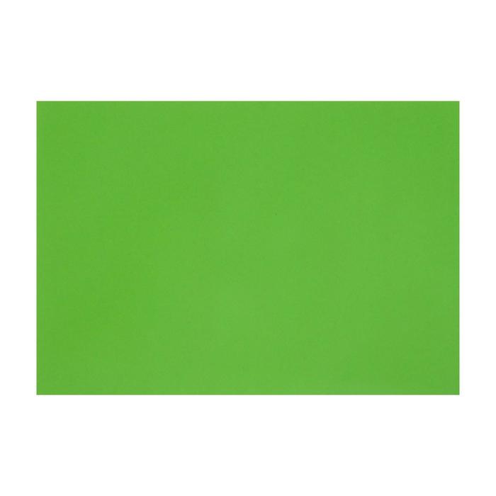 Картон цветной тонированный А3, 200 г/м2, зелёный картон цветной натюрморт а3 10 цв
