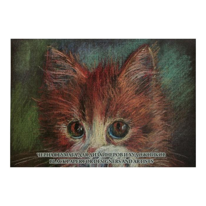 Бумага тонированная А2 10 листов 200 гм2 чёрная 515₽