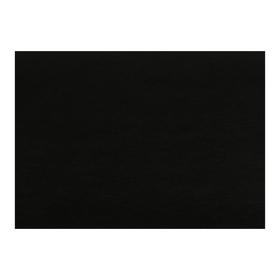 

Бумага тонированная А2, 10 листов, 200 г/м2, чёрная