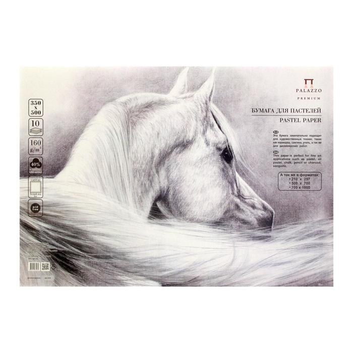 Бумага для пастели В3 350х500 мм с тиснением 10 листов Палаццо 160 гм2 графит 524₽