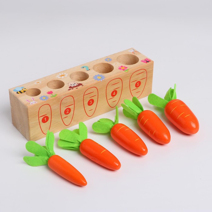 фото Развивающий набор «посади разные морковки» 20 × 5,5 × 5 см