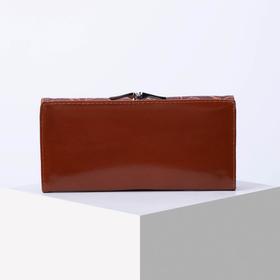 

Кошелёк женский, 3 отдела на магните, 2 отдела на фермуаре, цвет коричневый