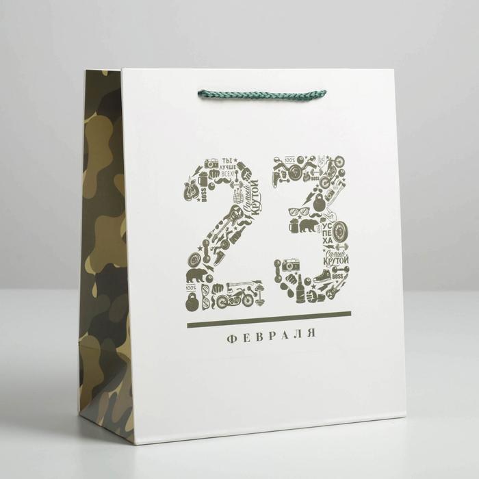 Пакет подарочный ламинированный вертикальный, упаковка, «23 февраля», ML 23 х 27 х 11,5 см