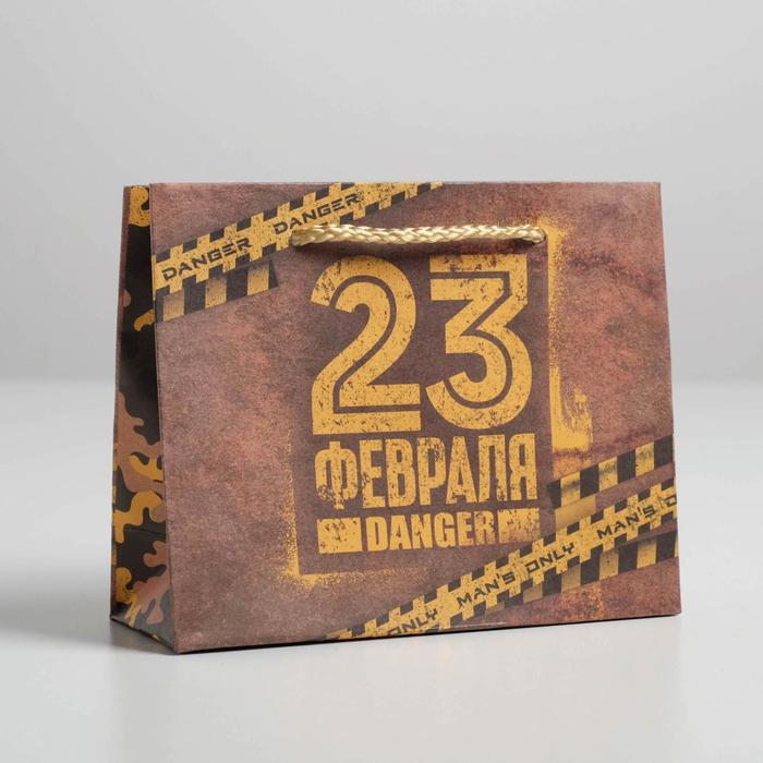 

Пакет крафтовый горизонтальный Danger, S 15 × 12 × 5,5 см