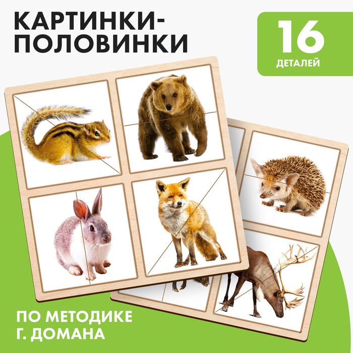 Картинки-половинки «Лесные животные» разрезные картинки лесные животные