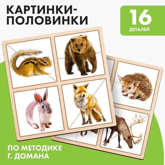 

Картинки-половинки «Лесные животные»