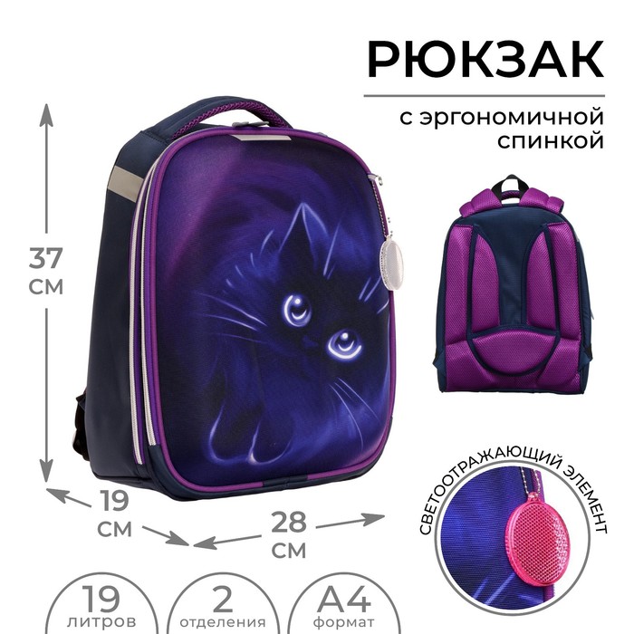 фото Рюкзак каркасный школьный, calligrata "котик", 37 х 28 х 19 см