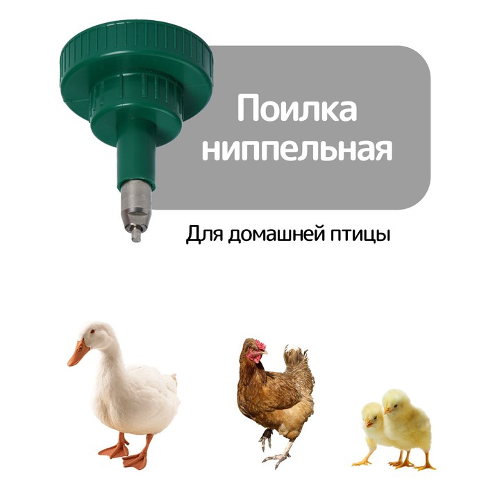 

Поилка ниппельная для домашней птицы, под бутылку 0,5 и 5 л