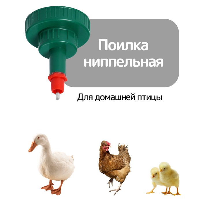 

Поилка ниппельная для домашней птицы, под бутылку 0,5 и 5 л, цвет МИКС