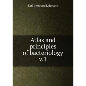 

Книга Atlas and principles of bacteriology v.1. Karl Bernhard Lehmann