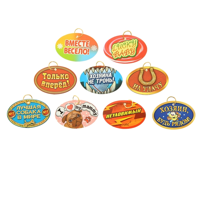 Ошейник-молния 38 см с адресником, микс картинок, наклейки под запись телефона в комплекте