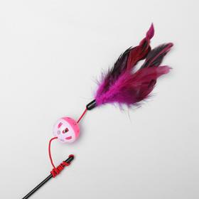 

Дразнилка-удочка "Канарейка", 50 см, микс цветов