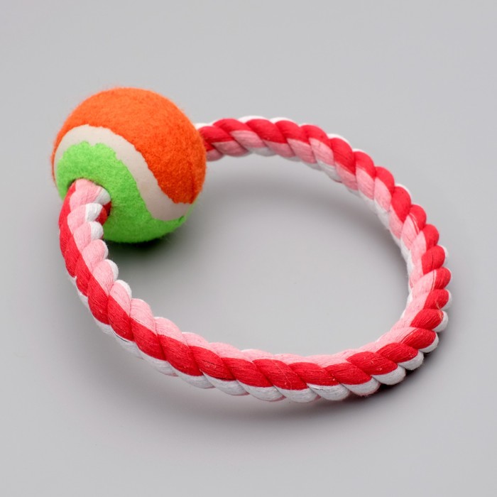 фото Игрушка тренировочная канатная "круг с мячом", 120 г, микс цветов пижон