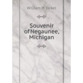 

Книга Souvenir of Negaunee, Michigan