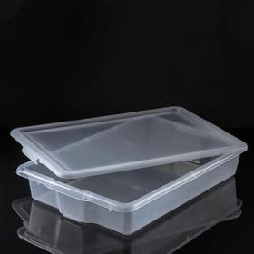 

Контейнер для хранения с крышкой Porter, 18 л, 66×42×11,5 см, цвет прозрачный