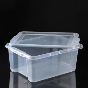 

Контейнер для хранения с крышкой Porter, 14 л, 43,5×31,5×17,5 см, цвет прозрачный