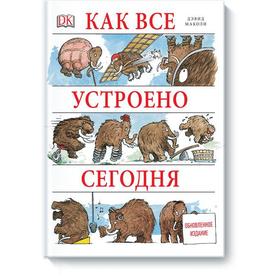 

МИФ. Детство 5-12. Как все устроено сегодня. Дэвид Маколи