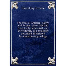 

Книга The trees of America: native and foreign, pictorially and botanically delineated and scientifically and popularly described. Illustrated by nume