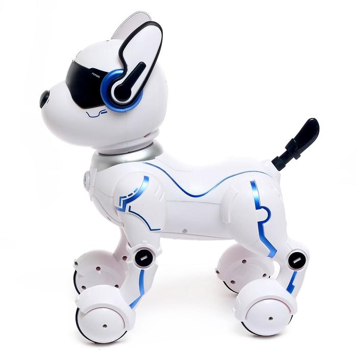 фото Робот собака «фьючер» zhorya, на пульте управления, интерактивный: звук, свет, танцующий, музыкальный, на аккумуляторе