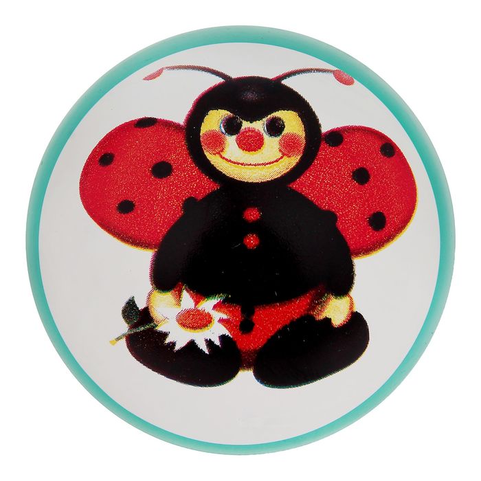 Мяч с рисунком лакированный, цвета МИКС