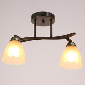

Люстра 23201/2 2х60Вт Е27, бронза, 52х30х25 см