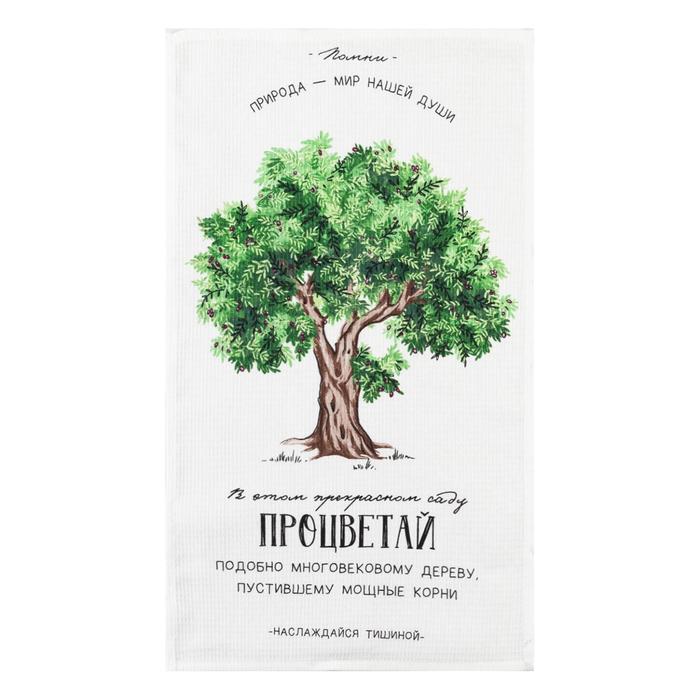 фото Полотенце кухонное доляна «процветай», 35х60 см, 100% хлопок, 160г/м2