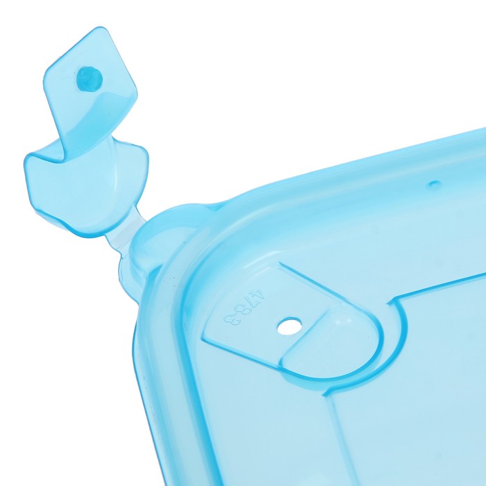 Набор контейнеров пищевых 600 мл, 3 шт, цвет МИКС