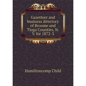 

Книга Gazetteer and business directory of Broome and Tioga Counties, N. Y. for 1872-3