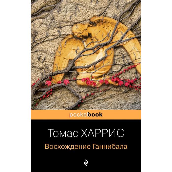 

Восхождение Ганнибала