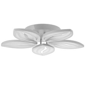

Люстра с ПДУ 80066/5 80Вт LED, диммир., 3000-6500К, белый, 56х56х9см