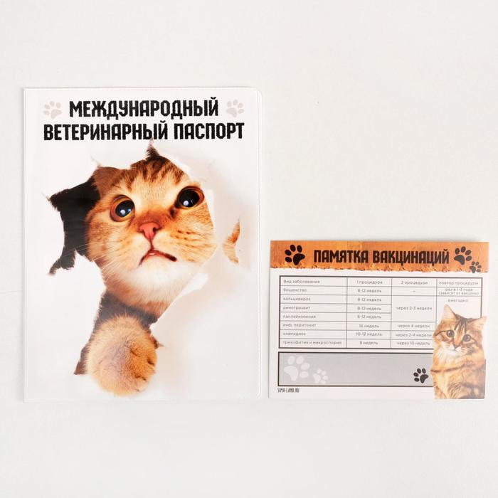 

Обложка для ветеринарного паспорта «Международный ветеринарный паспорт» и памятка для кошки