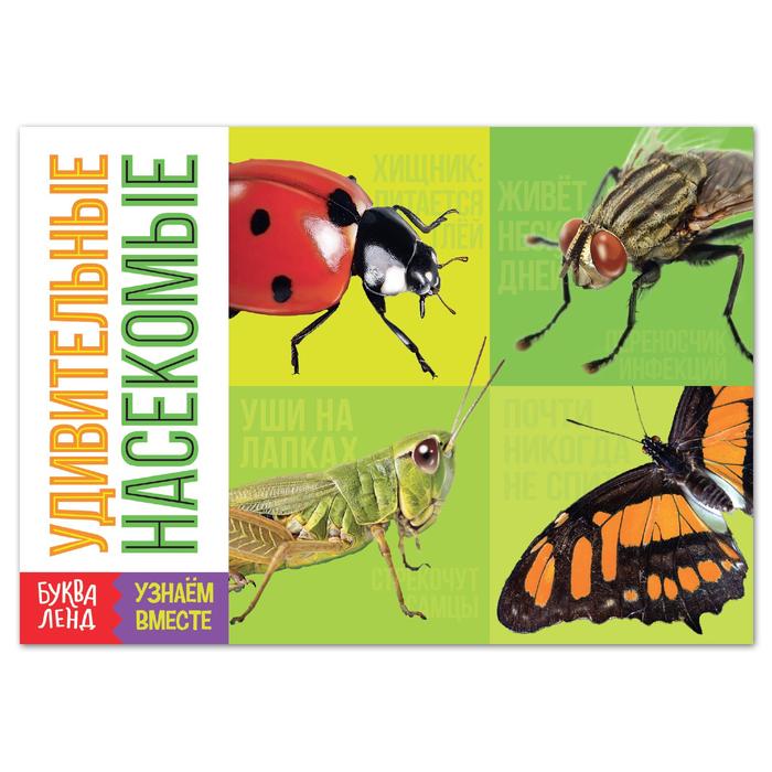 Обучающая книга «Удивительные насекомые», 20 стр. обучающая книга удивительные насекомые