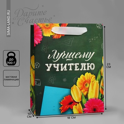 Пакет ламинированный вертикальный «Лучшему Учителю», MS 18 × 23 × 10 см