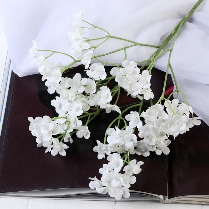 Цветы искусственные Силена 2х60 см, белый цветы искусственные гербера садовая 6х50 см белый