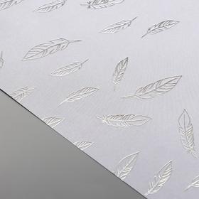 

Лист бумаги с фольгированием "Silver Feather Gray 30,5х30,5