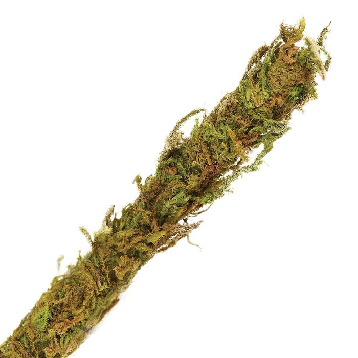 Лиана искусственная со мхом, 1 х 200 см
