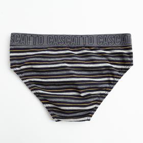 

Трусы мужские слипы, цвет чёрно-серый, размер 48 (L)