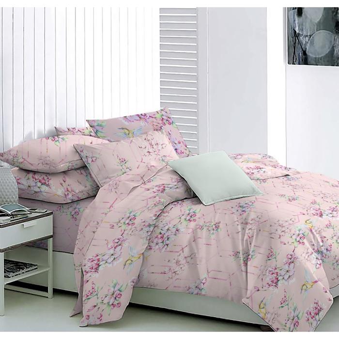 

Постельное бельё 2 сп Apple, размер 180x215 см, 175x210 см, 50x70 см - 2 шт
