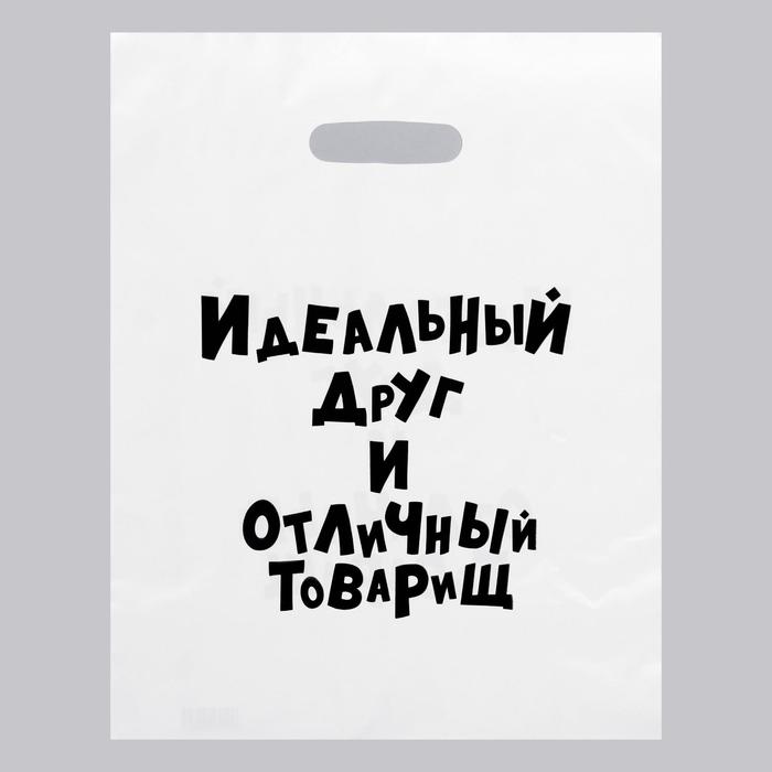 

Пакет с приколами, полиэтиленовый с вырубной ручкой, «Идеальный Друг И Отличный Товарищ» 31х40 см, 60 мкм