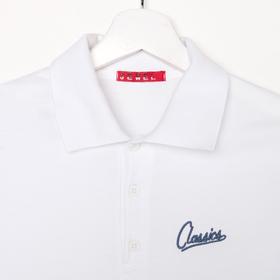 

Джемпер-поло для мальчика, цвет белый, рост 164 см (40)